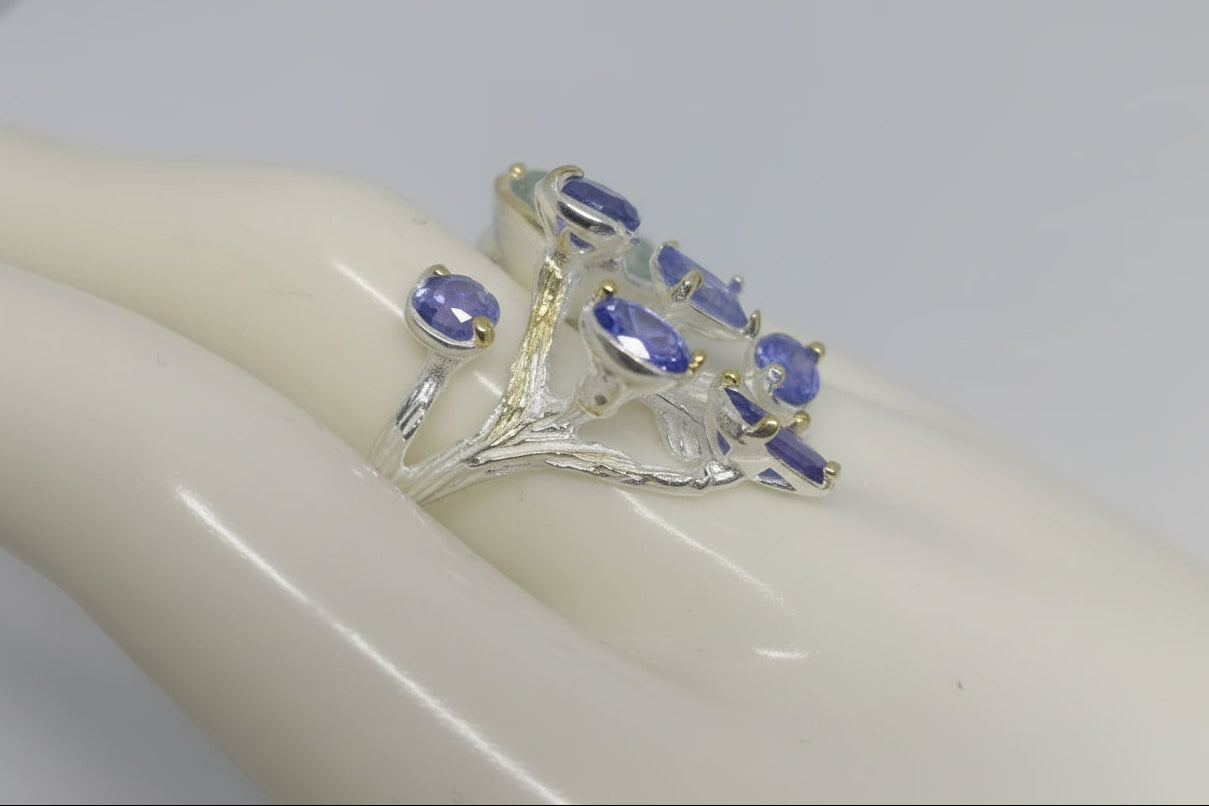 Ramificazioni di Luce - Acquamarina Tanzanite | Pezzo Unico